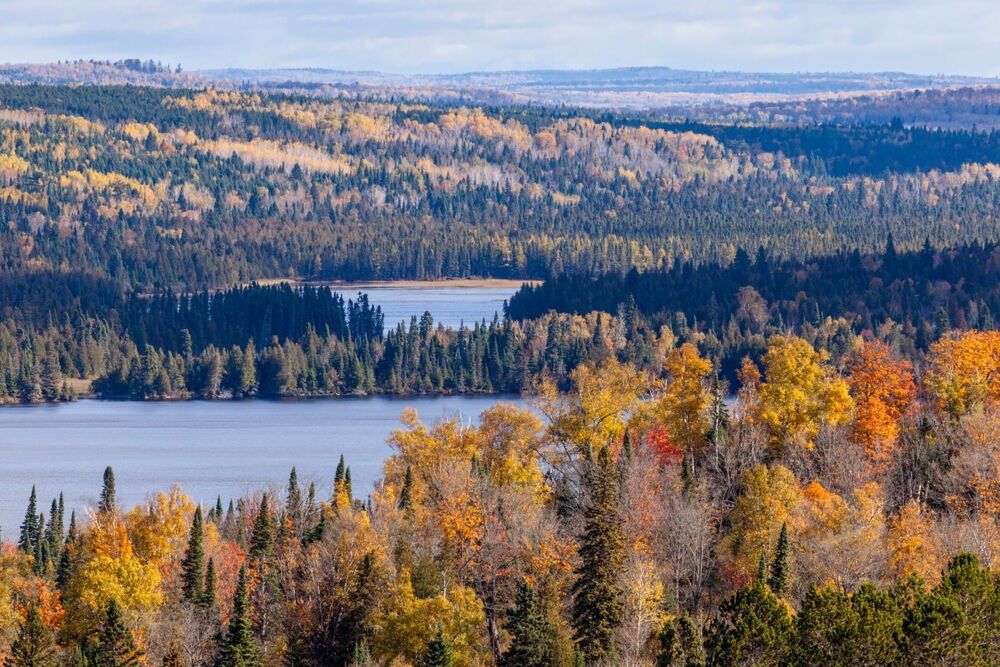 12. Superior National Forest